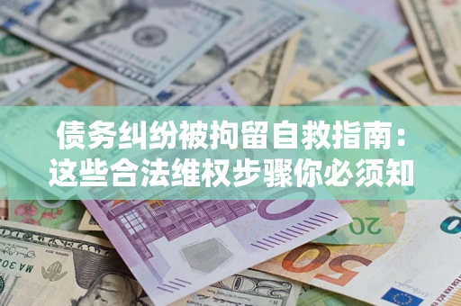 武汉债务纠纷被拘留自救指南：这些合法维权步骤你必须知道！