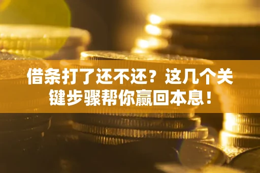 武汉借条打了还不还？这几个关键步骤帮你赢回本息！
