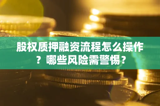 武汉股权质押融资流程怎么操作？哪些风险需警惕？