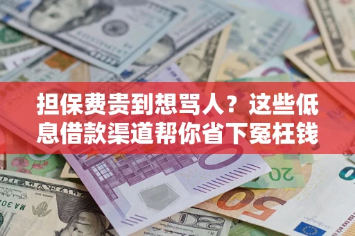武汉担保费贵到想骂人？这些低息借款渠道帮你省下冤枉钱