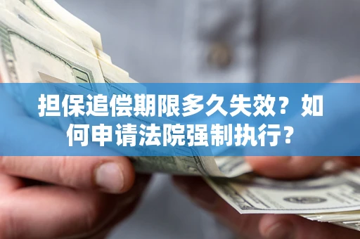 武汉担保追偿期限多久失效？如何申请法院强制执行？