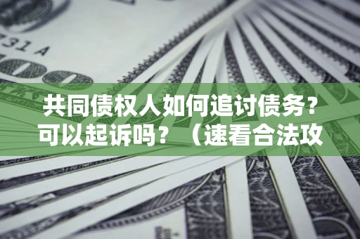 武汉共同债权人如何追讨债务？可以起诉吗？（速看合法攻略）